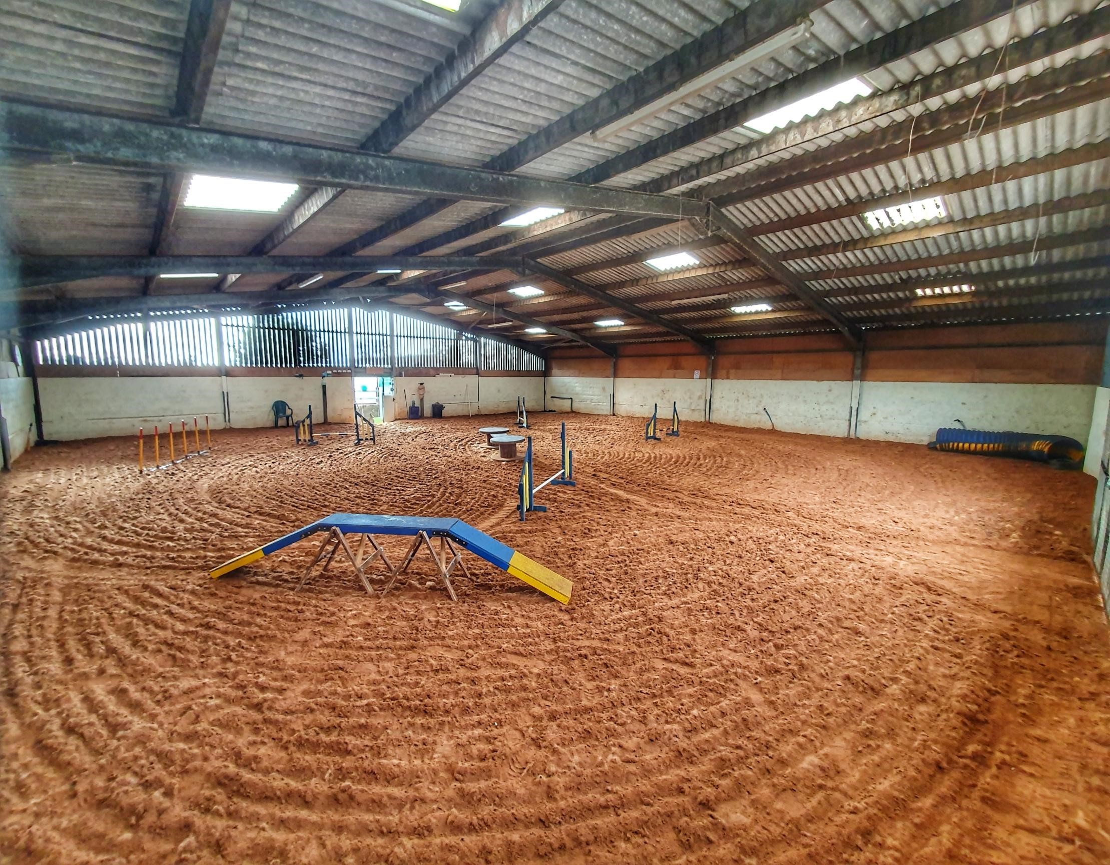 long term cat feeder